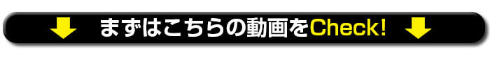 まずは映像をご覧ください